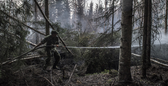 Hemvärsman försöker släcka skogsbrand med brandslang.