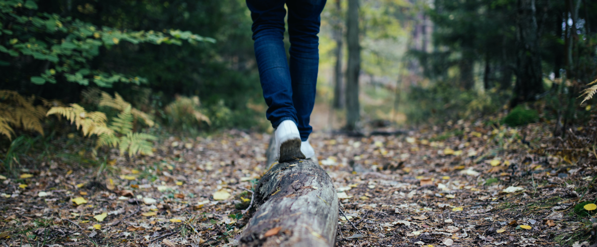 A person walking on a log in the woods.