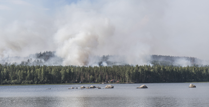 Skogsbrand med sjö i förgrunden.