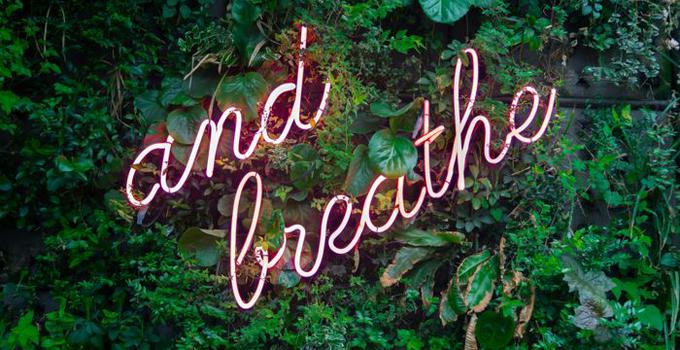 Neonslinga med orden "and breathe" mot grönskande bakgrund.