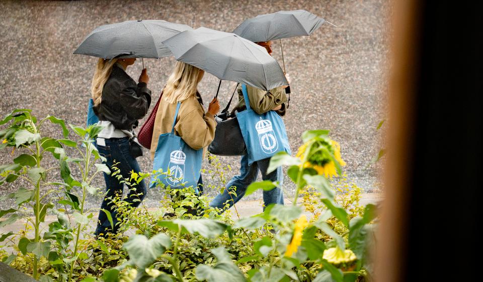 Three students with umbrellas.