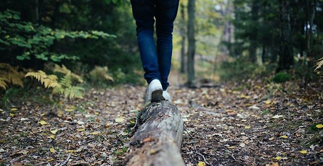 Person som balanserar på en trädstam på en stig i en skog.