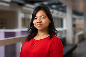 Profile image for Suanne Segovia