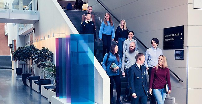 A group of people walking down a flight of stairs.